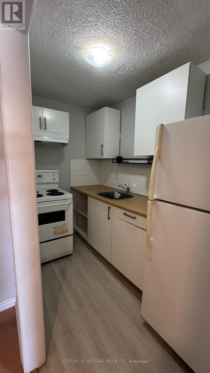 Bsmt - 735 Pam Crescent, Newmarket (Huron Heights-Leslie Valley), Ontario  L3Y 5B7 - Photo 7 - N12888536