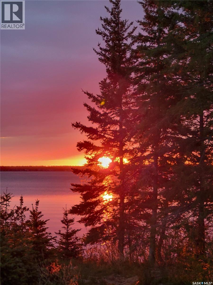 1512 Birch Drive, Turtle Lake, Saskatchewan  S0M 1J0 - Photo 48 - SK030420