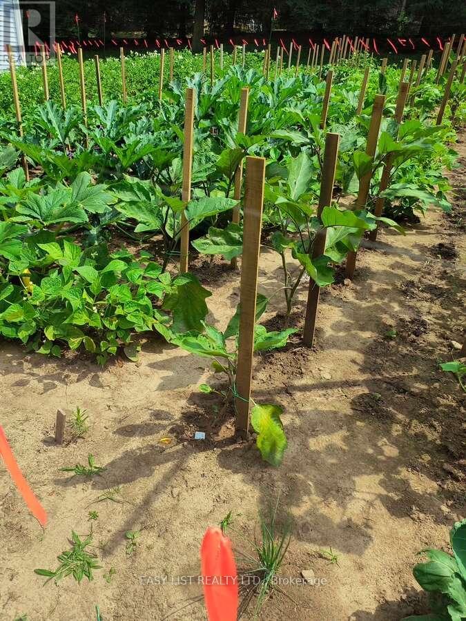 1109 Effingham Street, Pelham, Ontario  L0S 1C0 - Photo 18 - X12888636