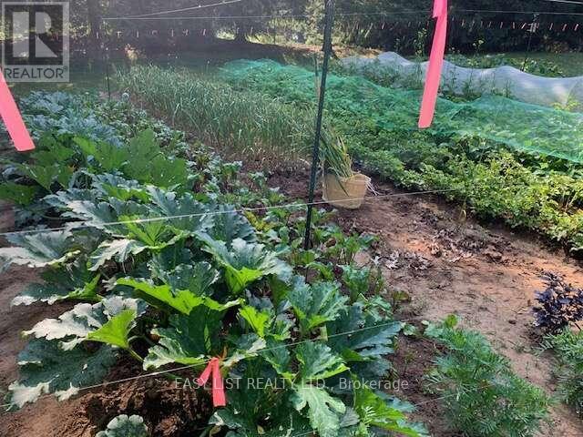 1109 Effingham Street, Pelham, Ontario  L0S 1C0 - Photo 19 - X12888636