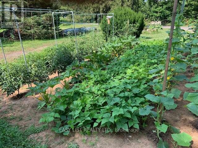 1109 Effingham Street, Pelham, Ontario  L0S 1C0 - Photo 9 - X12888636