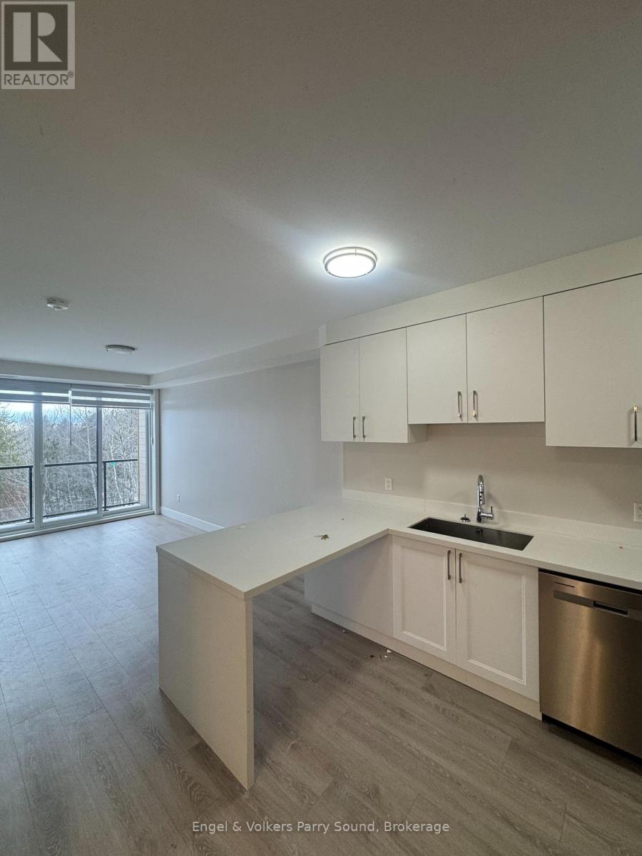 311 - 51 George Street, Parry Sound, Ontario  P2A 2R2 - Photo 5 - X12888580