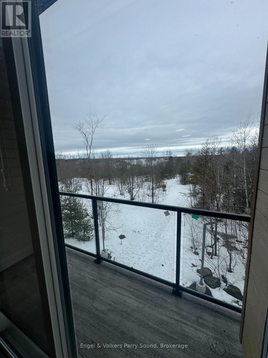 311 - 51 George Street, Parry Sound, Ontario  P2A 2R2 - Photo 7 - X12888580