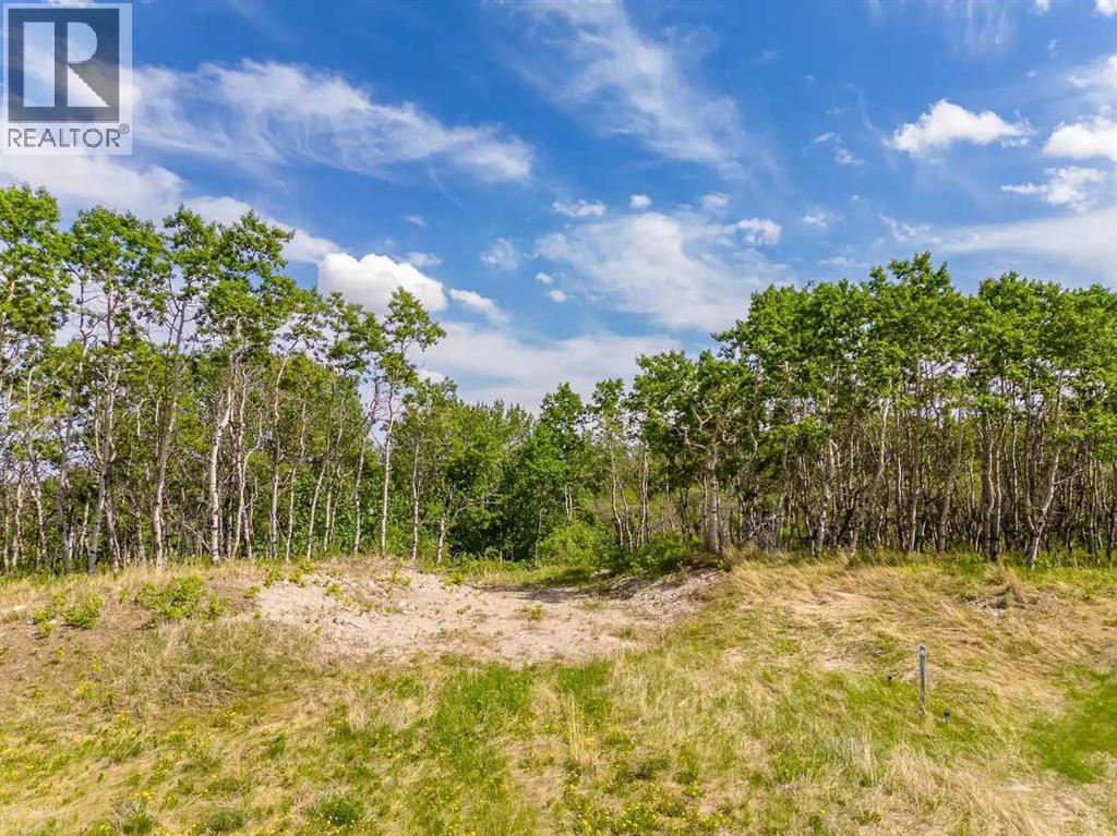 113 Silverhorn Ridge, Rural Rocky View County, Alberta  T3R 0X3 - Photo 7 - A2264296