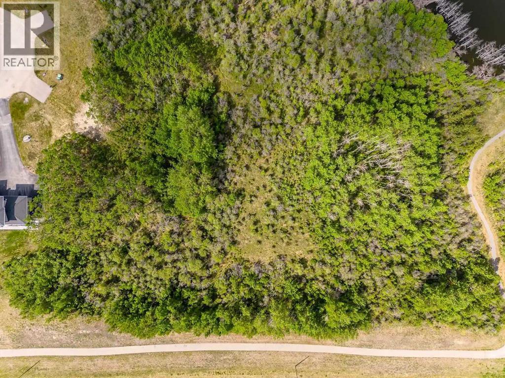 113 Silverhorn Ridge, Rural Rocky View County, Alberta  T3R 0X3 - Photo 10 - A2264296