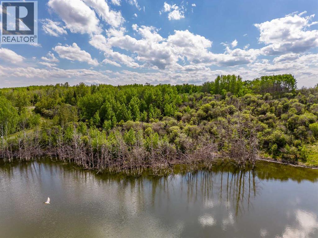 113 Silverhorn Ridge, Rural Rocky View County, Alberta  T3R 0X3 - Photo 12 - A2264296