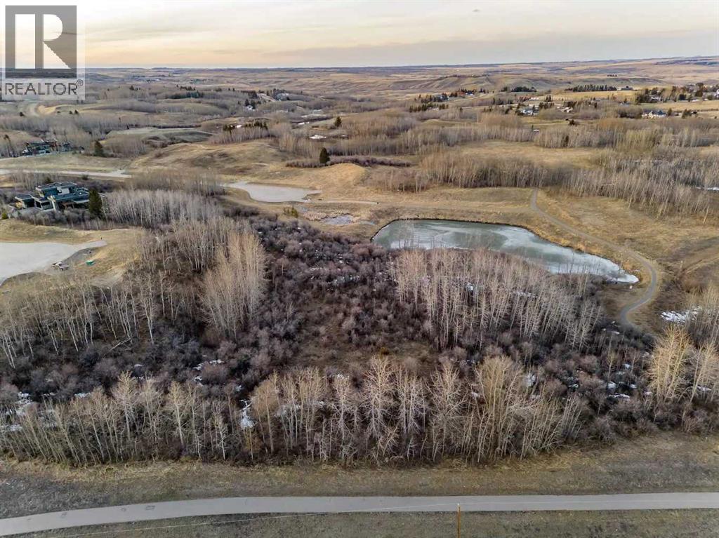 113 Silverhorn Ridge, Rural Rocky View County, Alberta  T3R 0X3 - Photo 20 - A2264296
