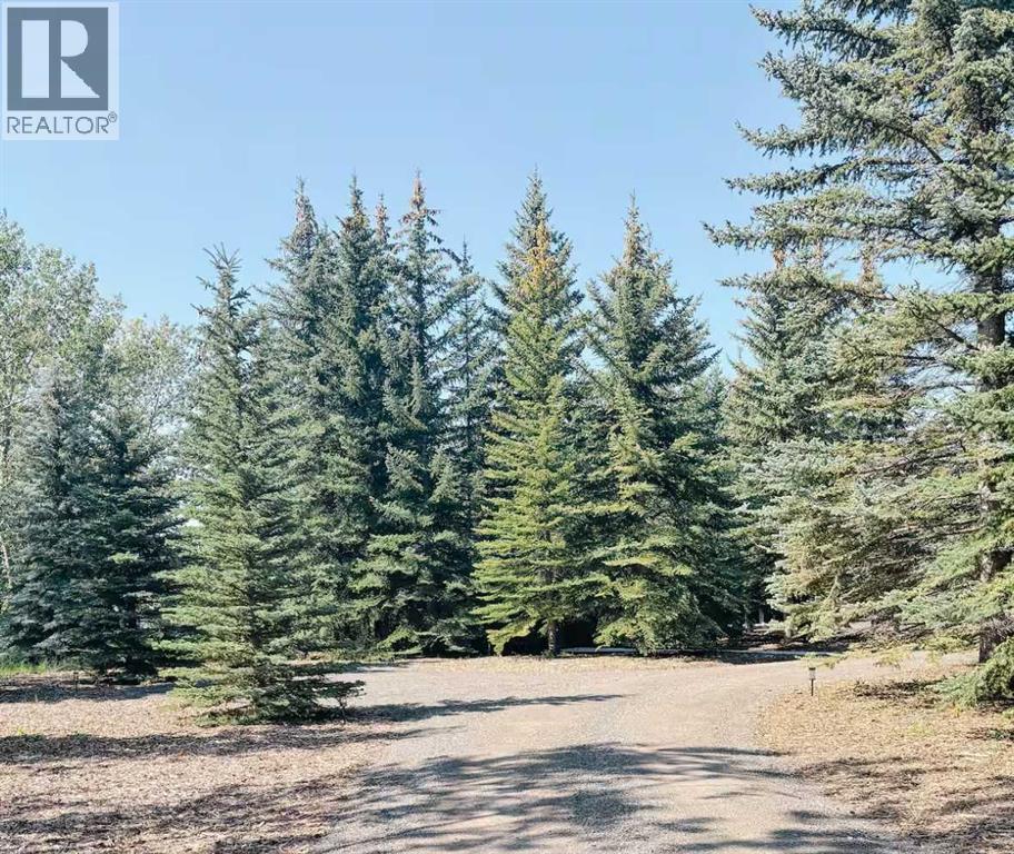 322029 8 Street E, Rural Foothills County, Alberta  T1S 3L7 - Photo 41 - A2293493