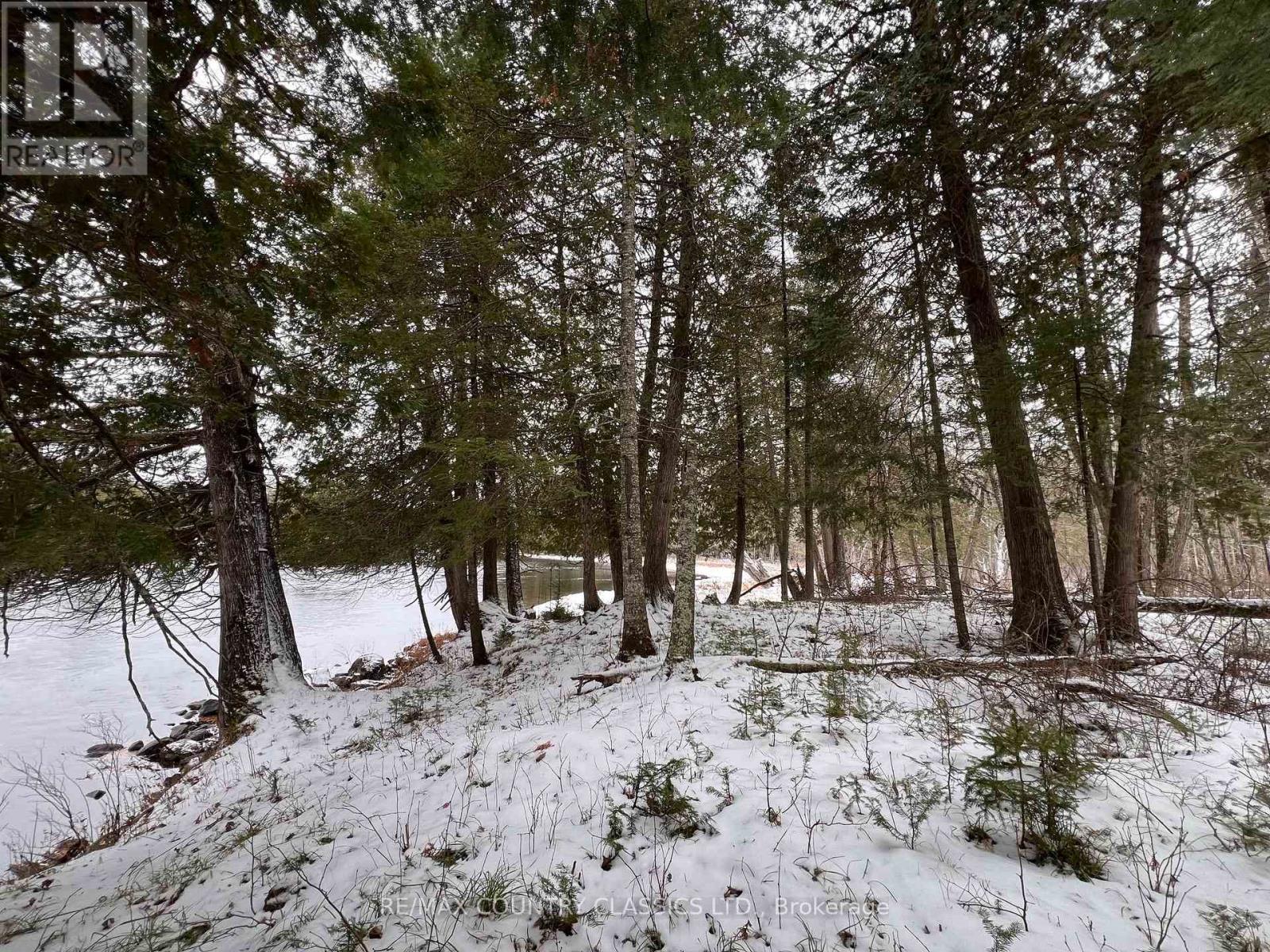 179 Lalonde Lane, Greater Madawaska, Ontario  K0J 2R0 - Photo 39 - X12561948