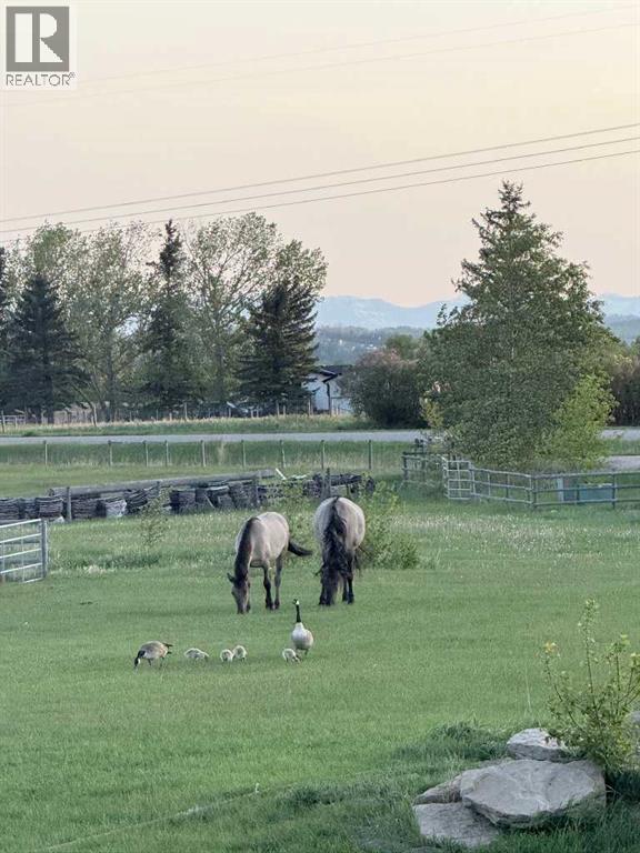 218044 72 Street E, Rural Foothills County, Alberta  T1S 3V6 - Photo 6 - A2279860