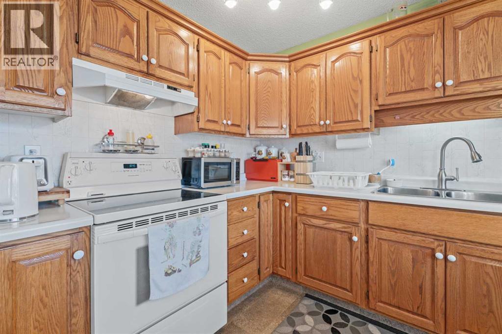 13 Park Ln Place, Strathmore, Alberta  T1P 1K7 - Photo 8 - A2291676