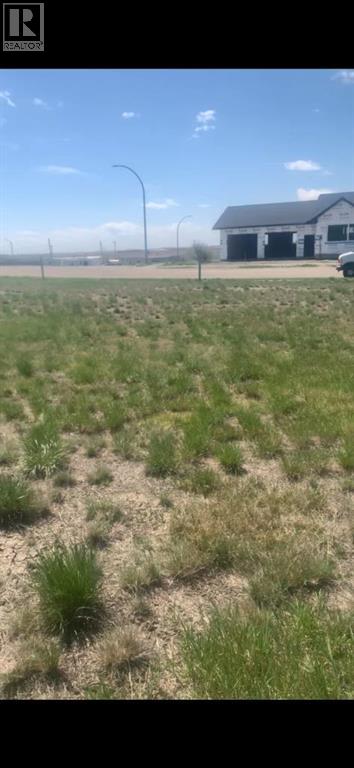 410 Frederick Avenue, Standard, Alberta  T0J 3G0 - Photo 4 - A2269712