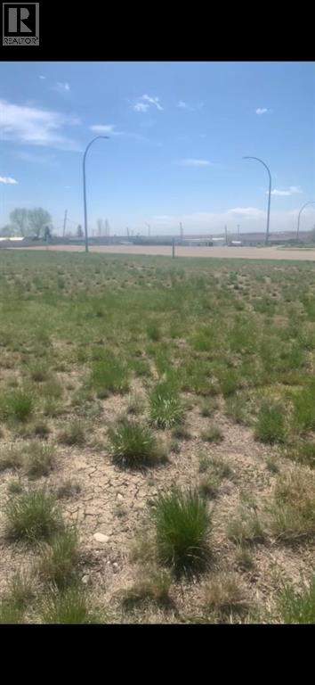 410 Frederick Avenue, Standard, Alberta  T0J 3G0 - Photo 7 - A2269712