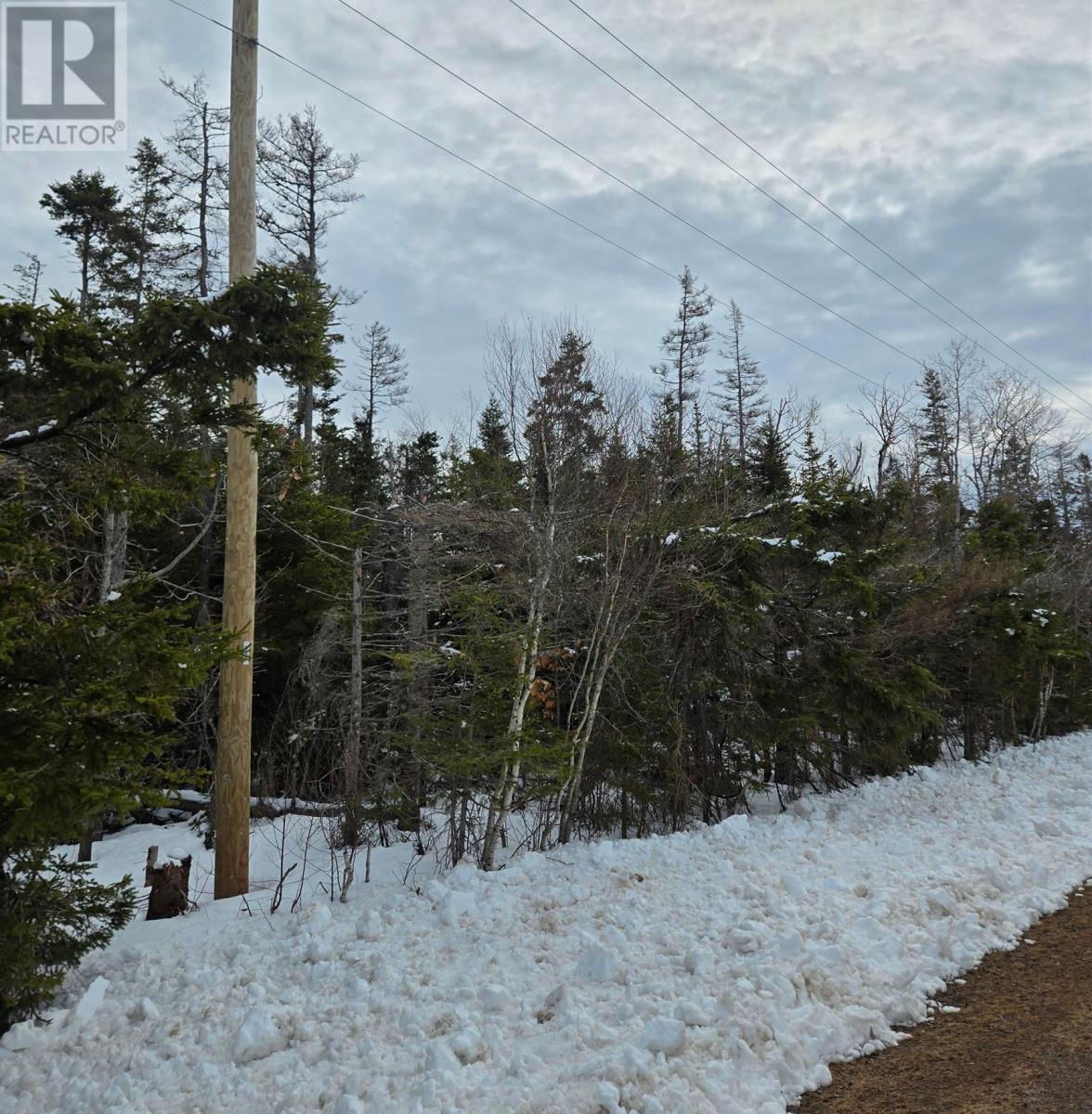 Acreage Roseberry Road, Belfast, Prince Edward Island  C0A 1A0 - Photo 3 - 202604692