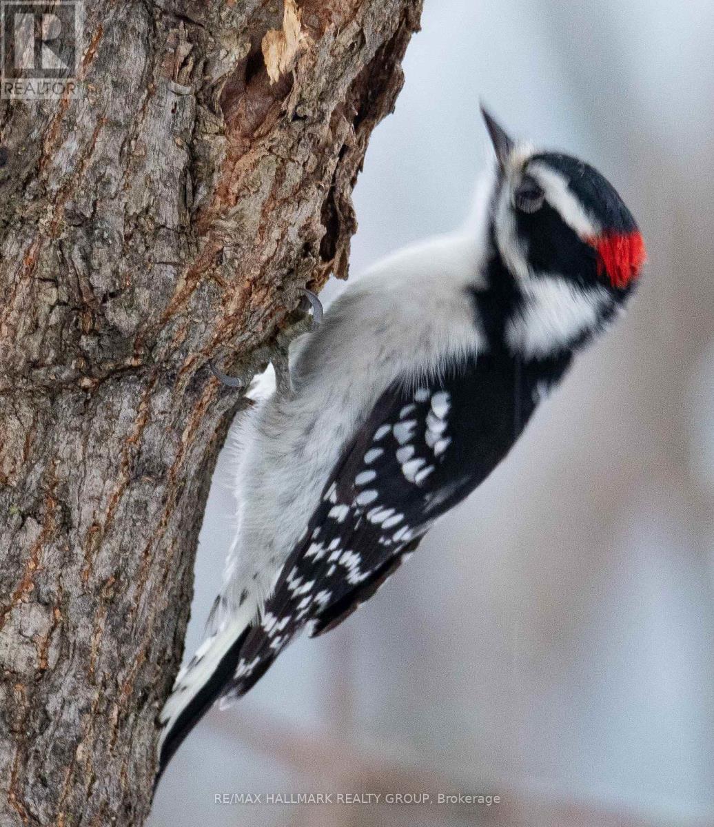 1236 Bayview Drive, Ottawa, Ontario  K0A 3M0 - Photo 20 - X12878588