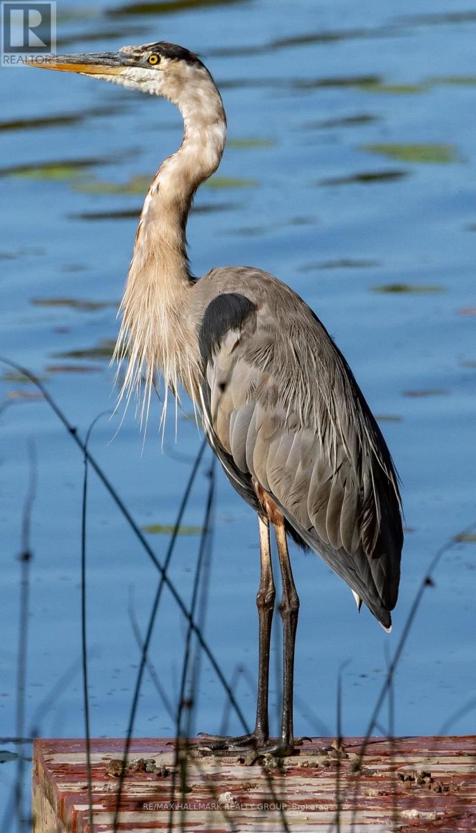 1236 Bayview Drive, Ottawa, Ontario  K0A 3M0 - Photo 18 - X12878588