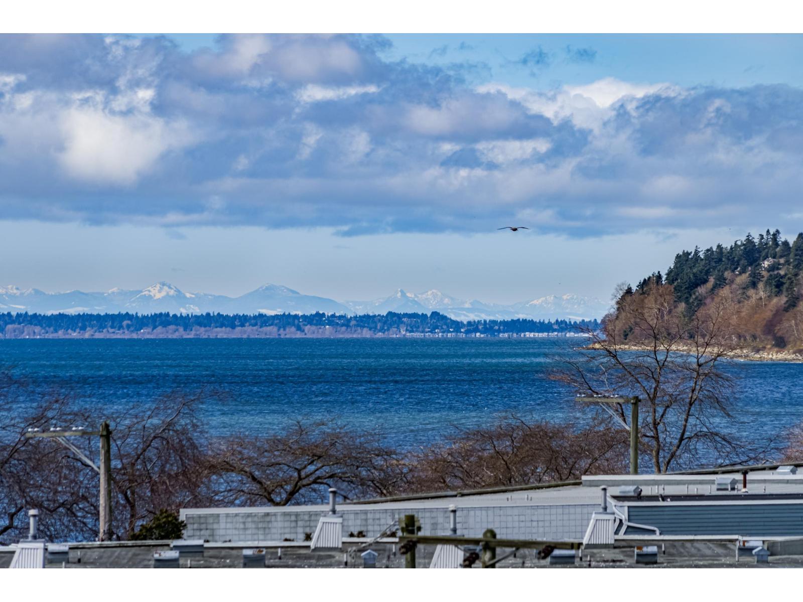 Listing Picture 38 of 40 : 2 14985 VICTORIA AVENUE, White Rock - 魯藝地產 Yvonne Lu Group - MLS Medallion Club Member