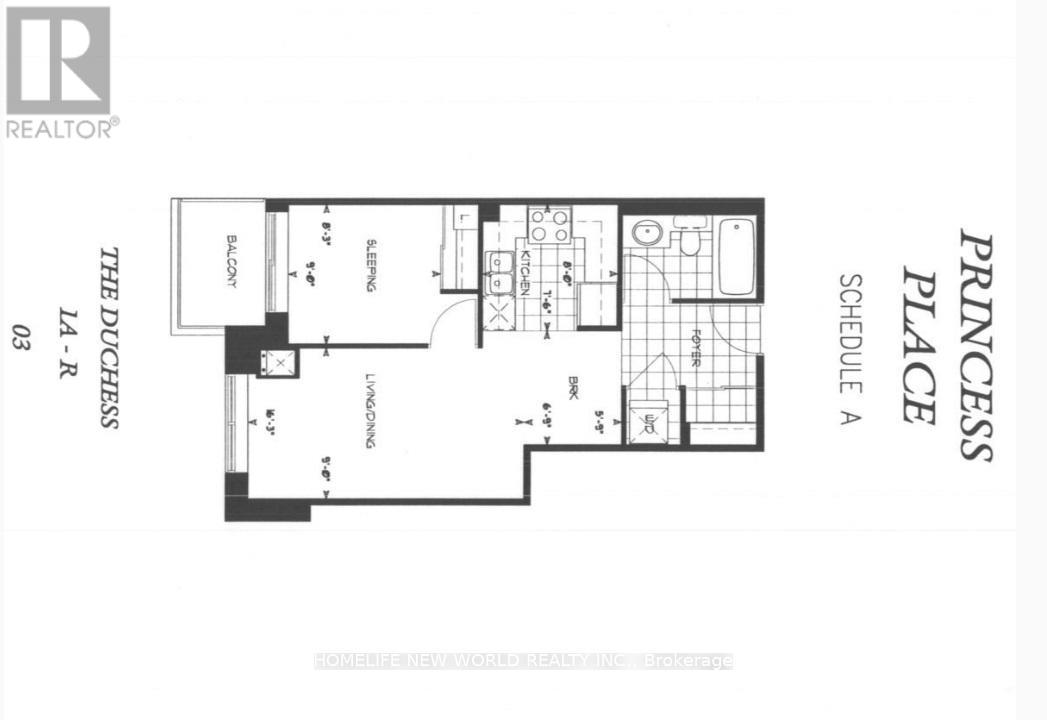 803 - 28 Olive Avenue, Toronto (Willowdale East), Ontario  M2N 7E6 - Photo 10 - C12889284