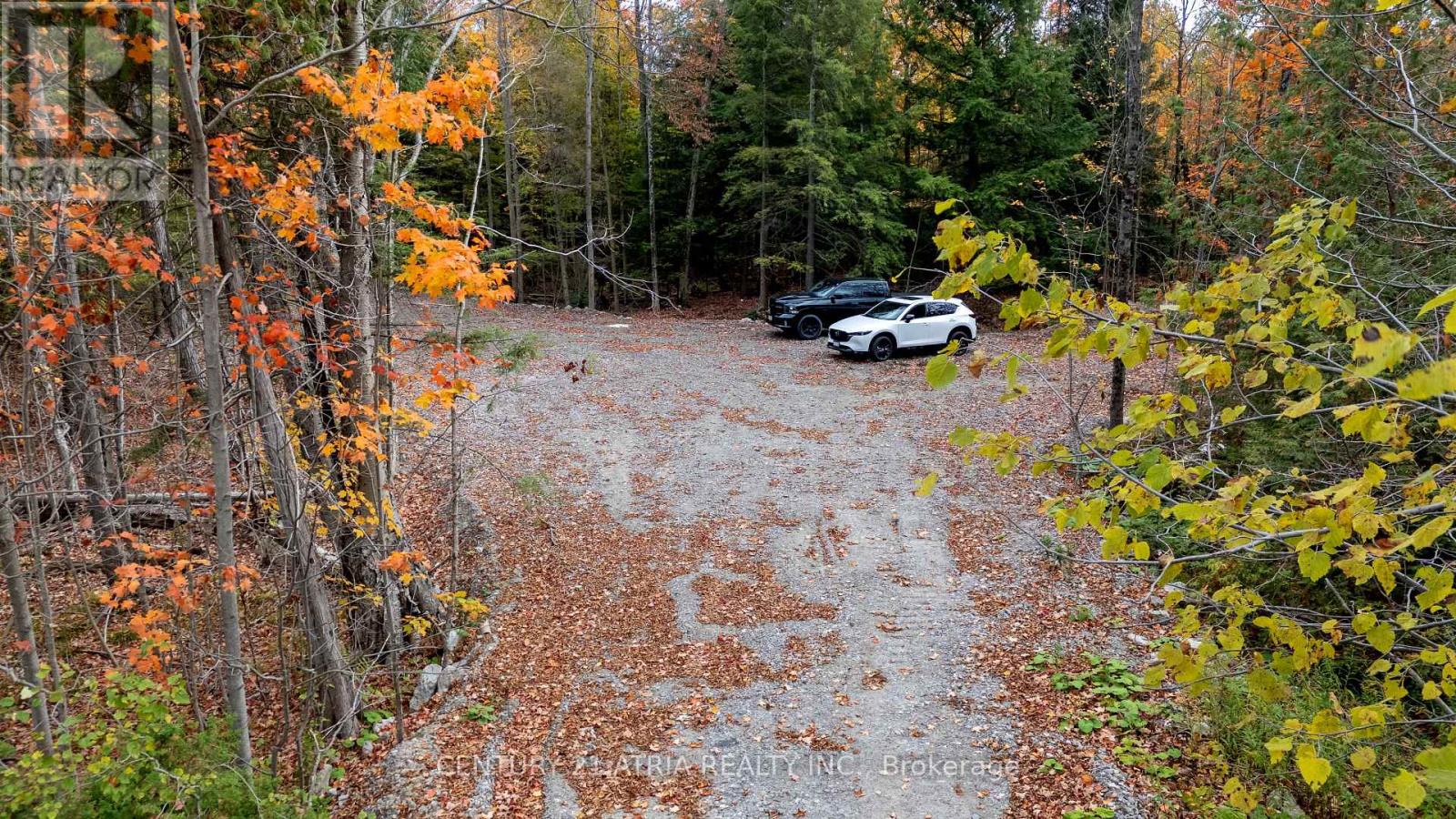 3303 Davis Drive, Whitchurch-Stouffville, Ontario  L4A 2P8 - Photo 12 - N12889334