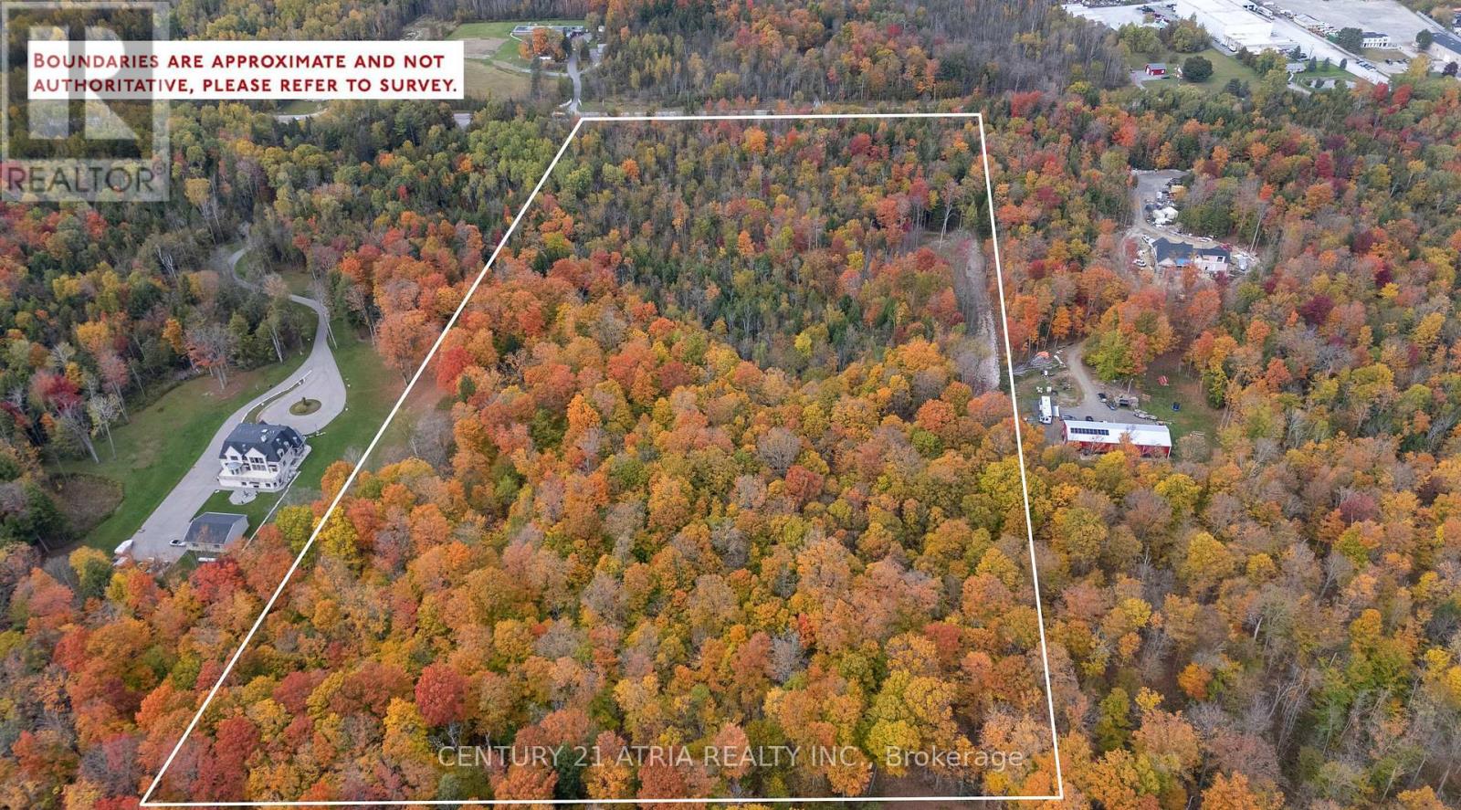 3303 Davis Drive, Whitchurch-Stouffville, Ontario  L4A 2P8 - Photo 7 - N12889334