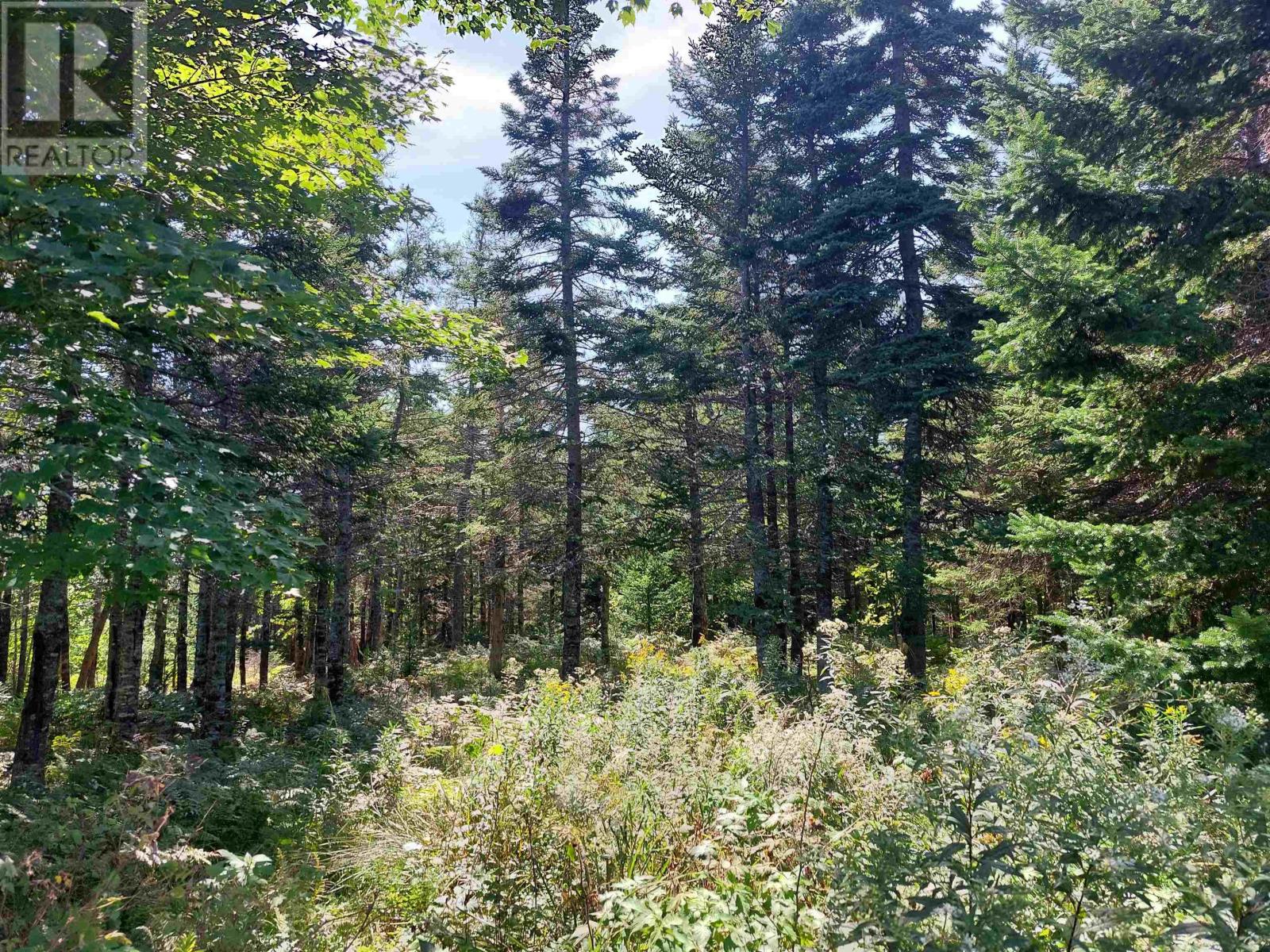 Lot 9 West Bay Hwy, French Cove, Nova Scotia  B0E 3B0 - Photo 6 - 202604710