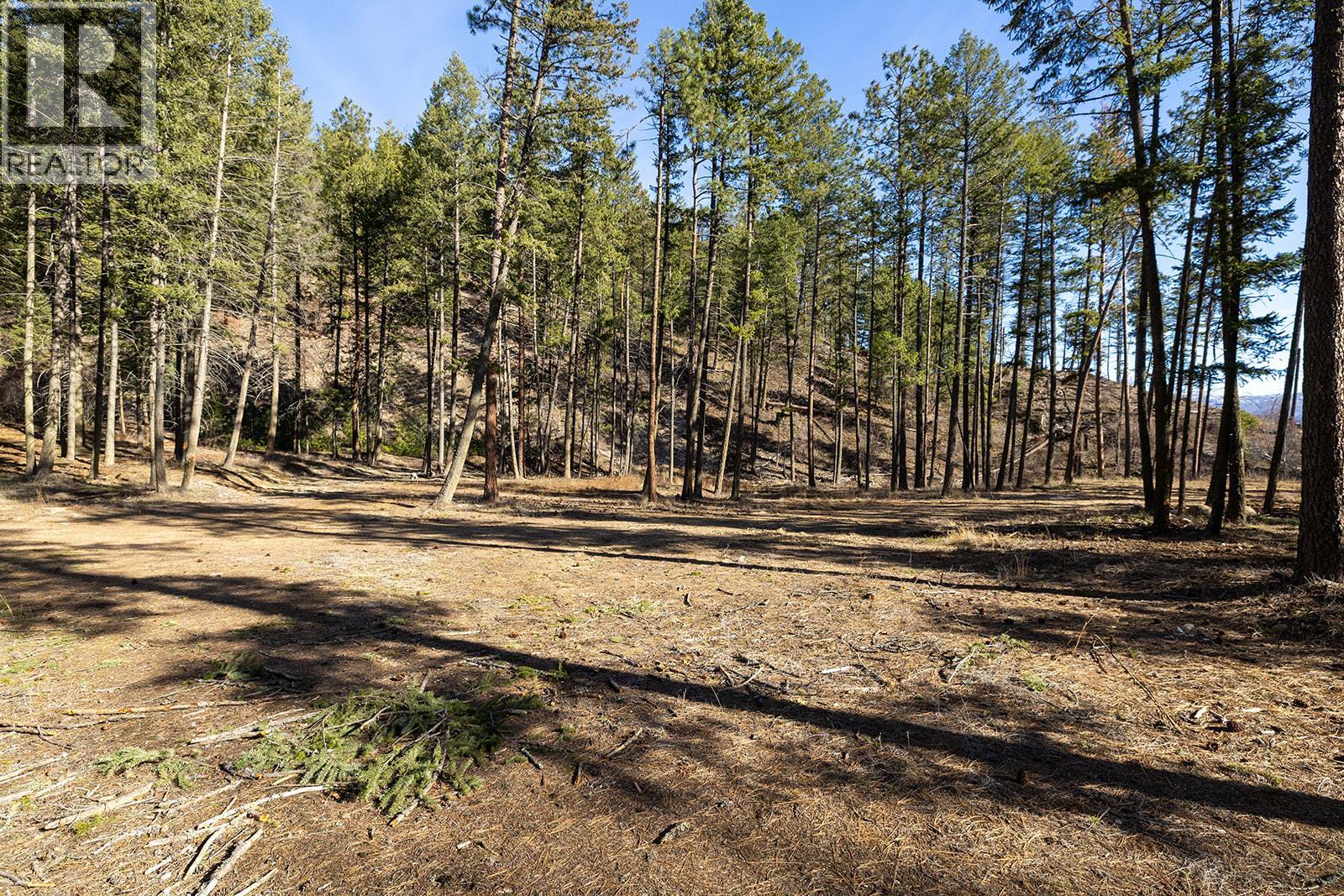 Lot B Trepanier Road, Peachland, British Columbia  V0H 1X3 - Photo 19 - 10379635