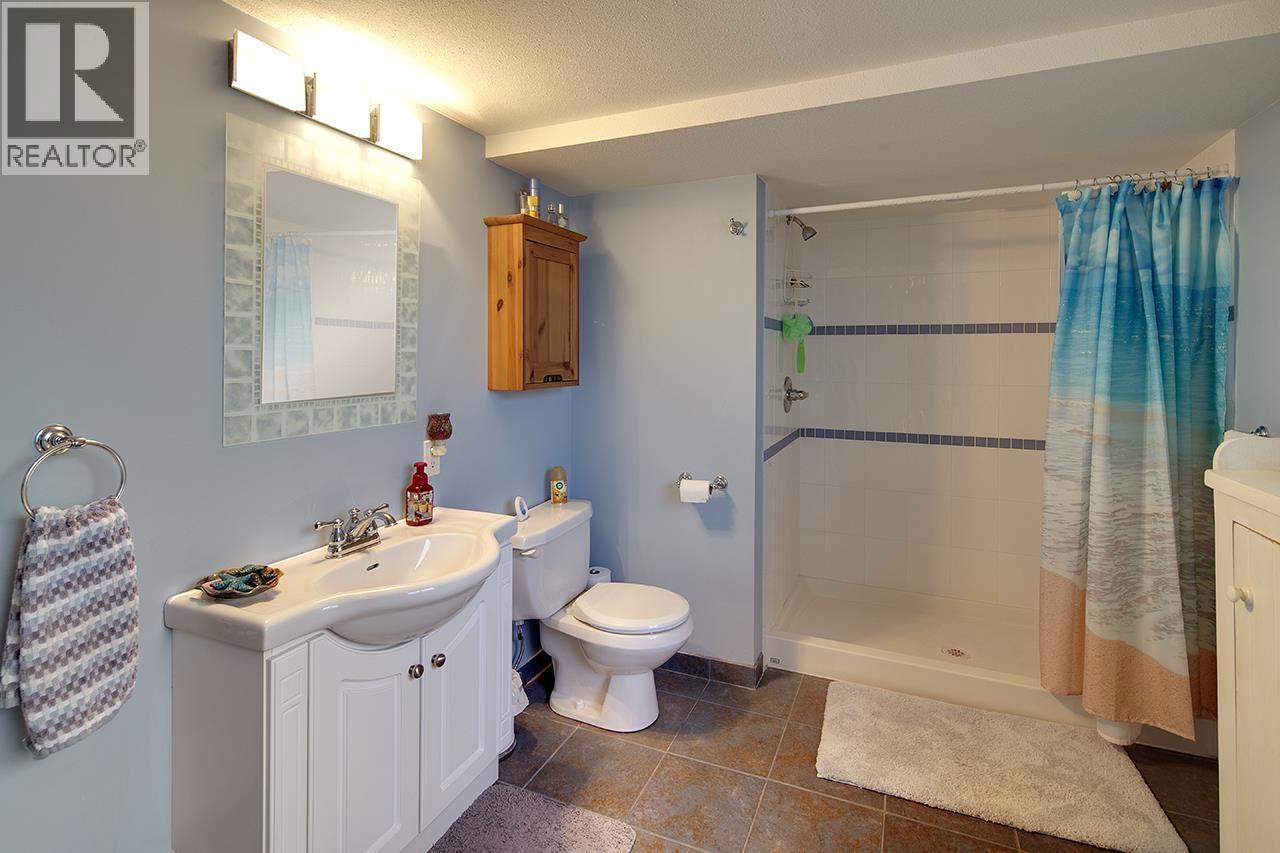 2867 Mara Drive, Coquitlam, British Columbia  V3C 5L3 - Photo 20 - R3100221