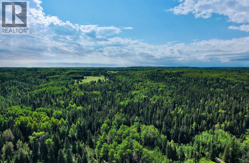 201 James River Ridge, Rural Clearwater County, Alberta  T0M 1C0 - Photo 45 - A2293265