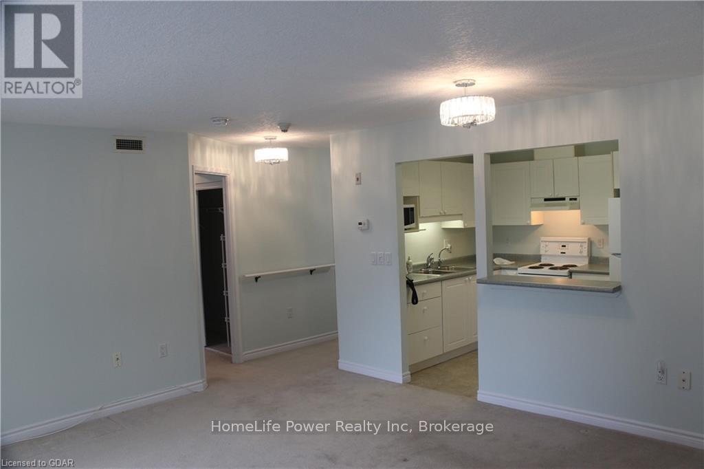 211 - 20 St George Street, Kitchener, Ontario  N2G 2S7 - Photo 11 - X12889740