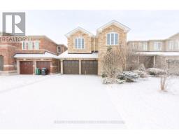 BASEMENT - 19 CONKLIN DRIVE, Brampton, Ontario