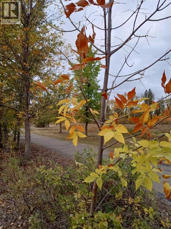 203, 91 Cosgrove Crescent, Red Deer, Alberta  T4P 2Z6 - Photo 19 - A2293602