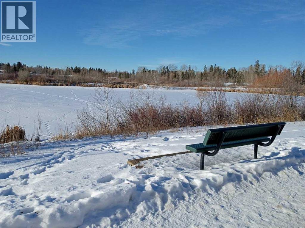 203, 91 Cosgrove Crescent, Red Deer, Alberta  T4P 2Z6 - Photo 20 - A2293602