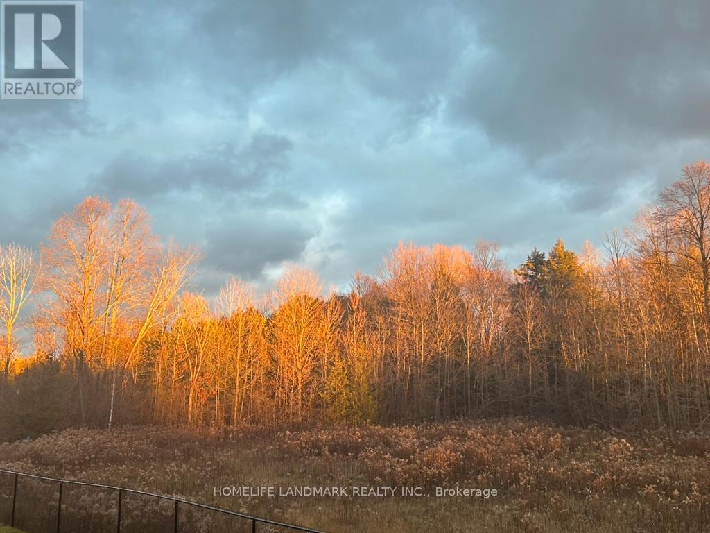 59 Big Canoe Drive, Georgina, Ontario  L0E 1R0 - Photo 20 - N12889928