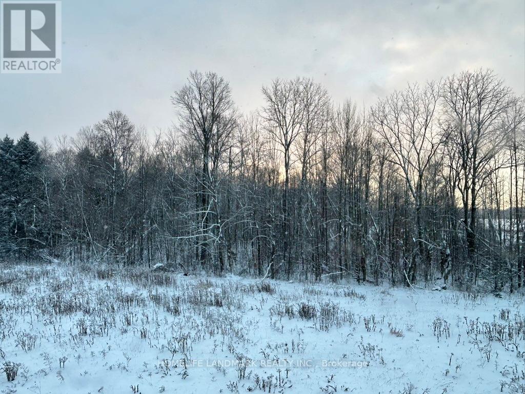 59 Big Canoe Drive, Georgina, Ontario  L0E 1R0 - Photo 21 - N12889928