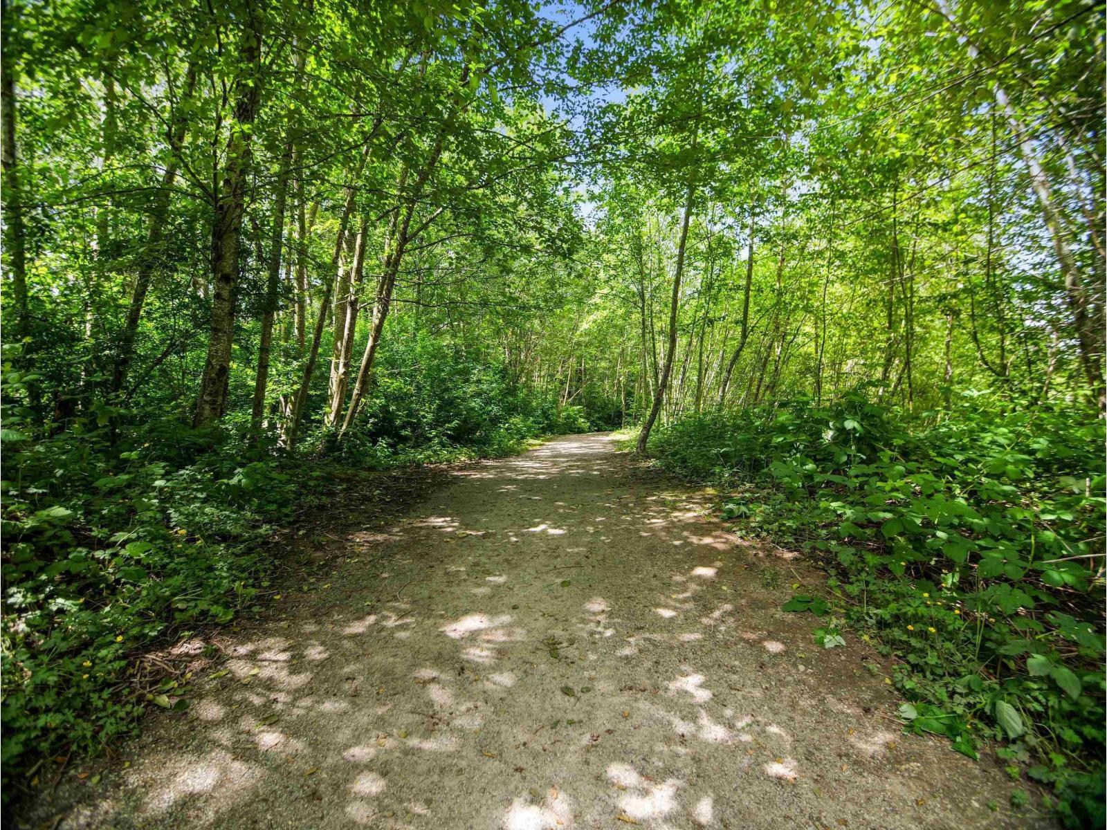 309 6815 188 Street, Surrey, British Columbia  V4N 0Z8 - Photo 26 - R3099262