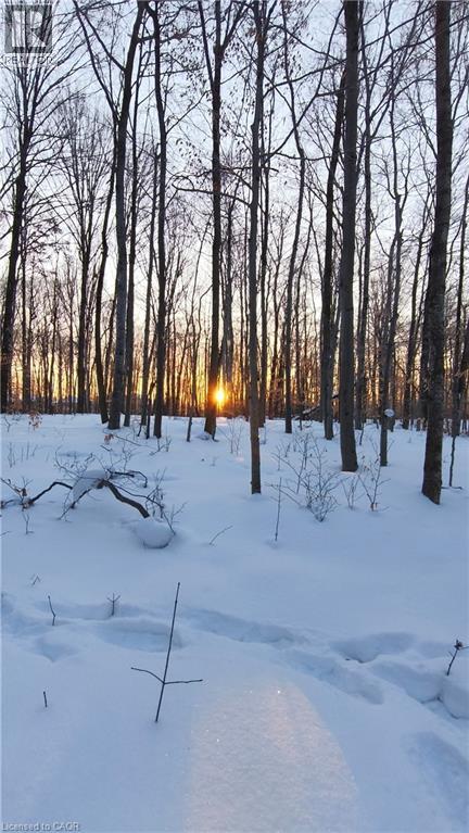 279 Zeller Drive, Kitchener, Ontario  N2A 0B2 - Photo 49 - 40800460