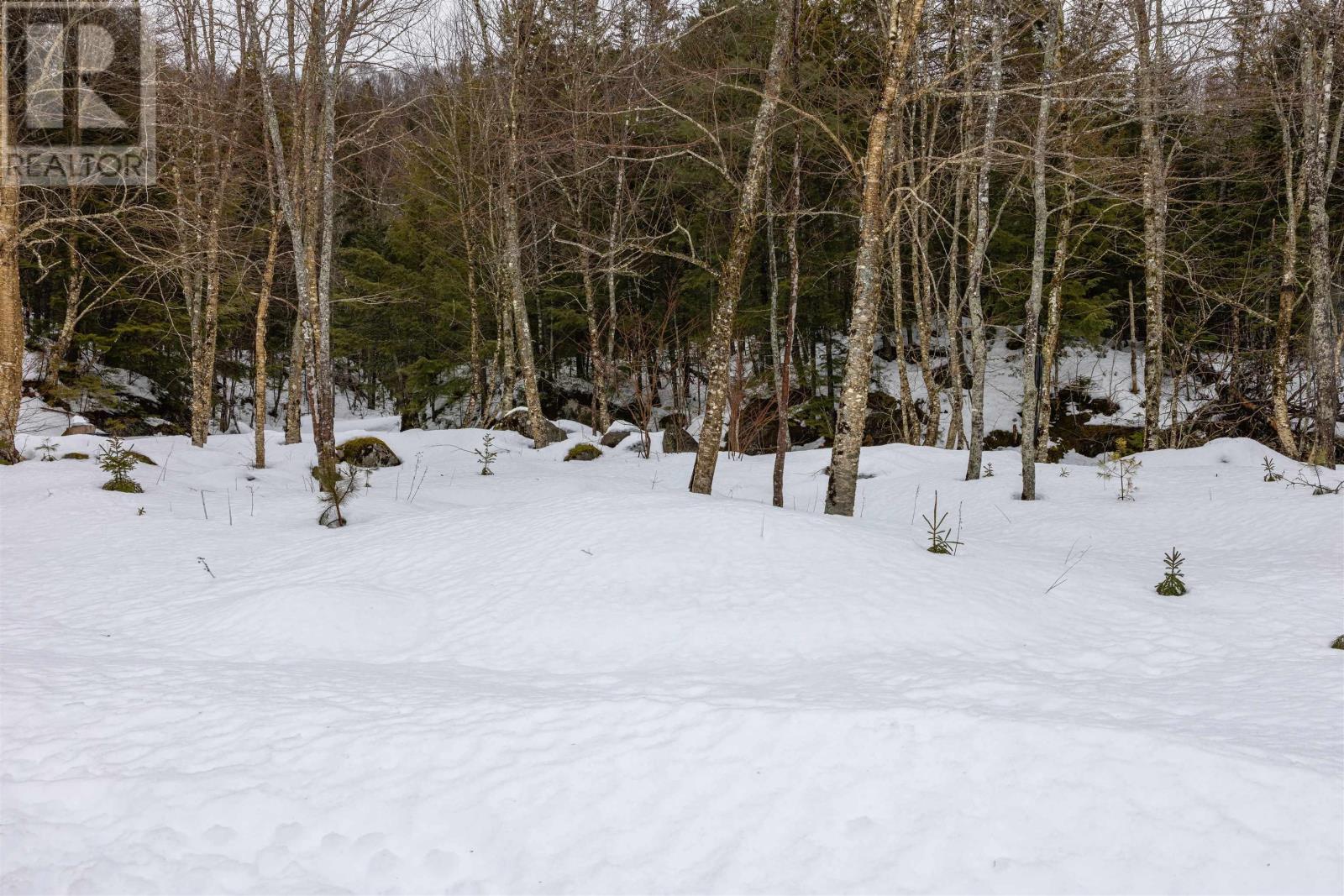 16568 Highway 316, Country Harbour, Nova Scotia  B0H 1J0 - Photo 40 - 202604652