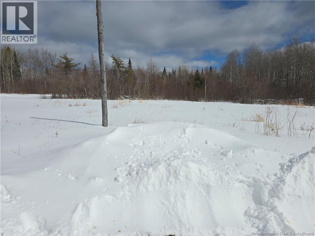 4141 Route 134, Allardville, New Brunswick  E8L 1H3 - Photo 5 - NB135102