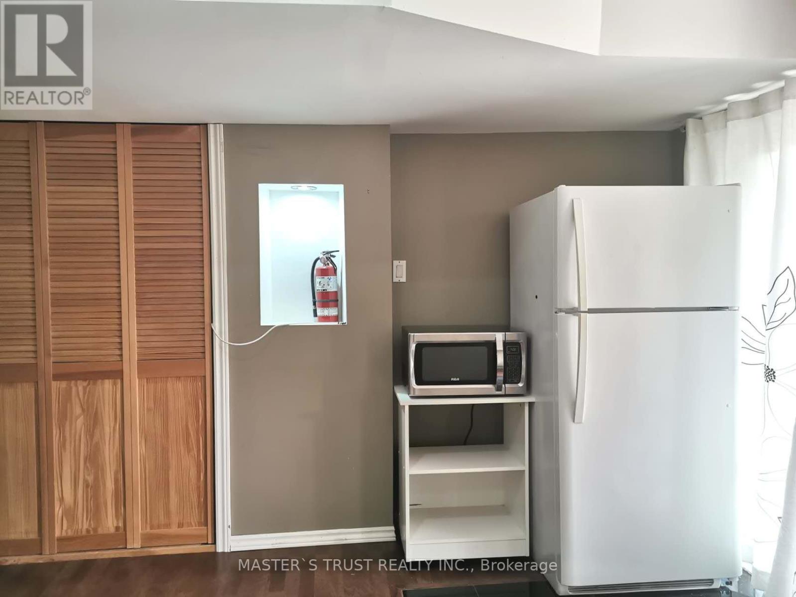 (Bsmt) - 20 Lady Gwillim Avenue, East Gwillimbury, Ontario  L9N 0A5 - Photo 10 - N12890080