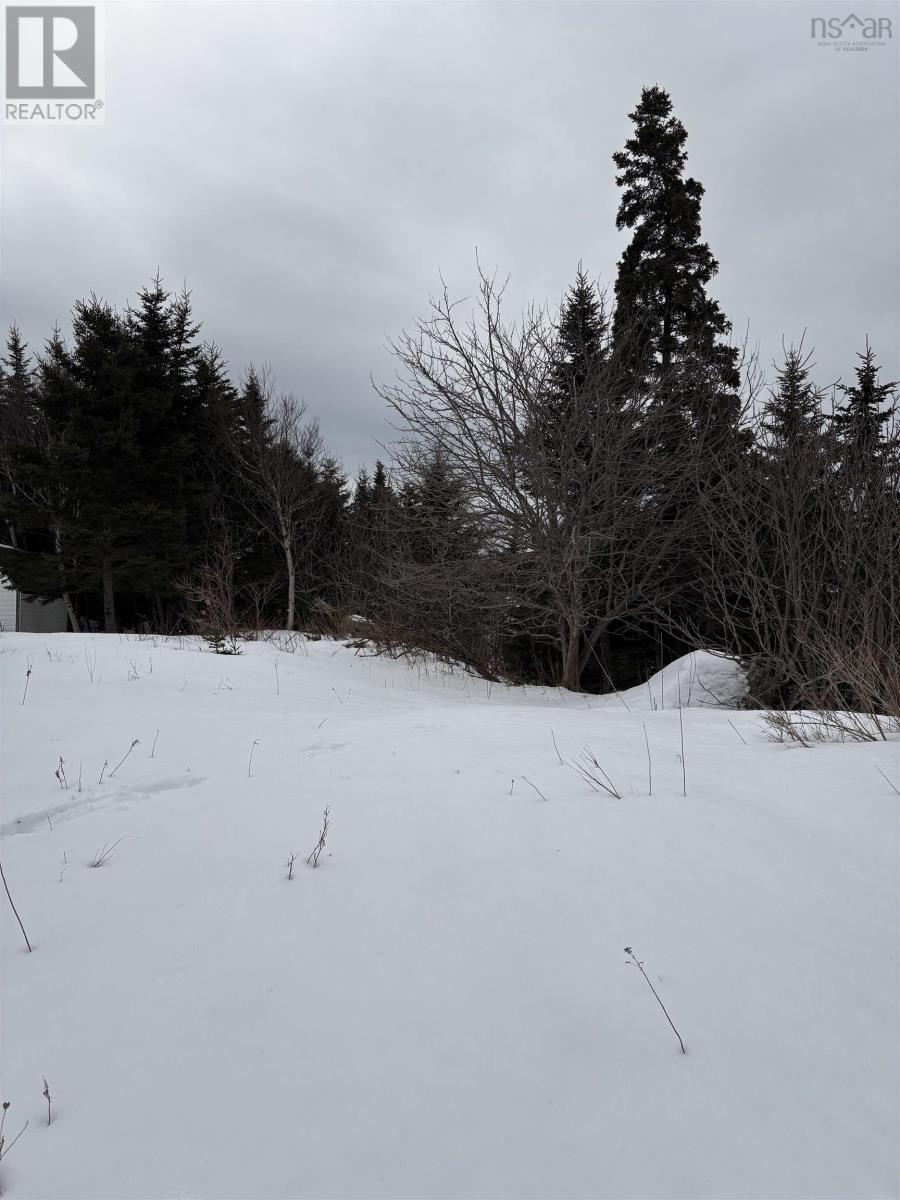 28 Cross Road, Ostrea Lake, Nova Scotia  B0J 2L0 - Photo 10 - 202604614