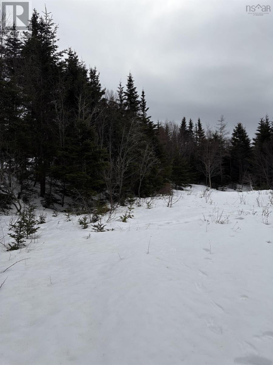 28 Cross Road, Ostrea Lake, Nova Scotia  B0J 2L0 - Photo 5 - 202604614