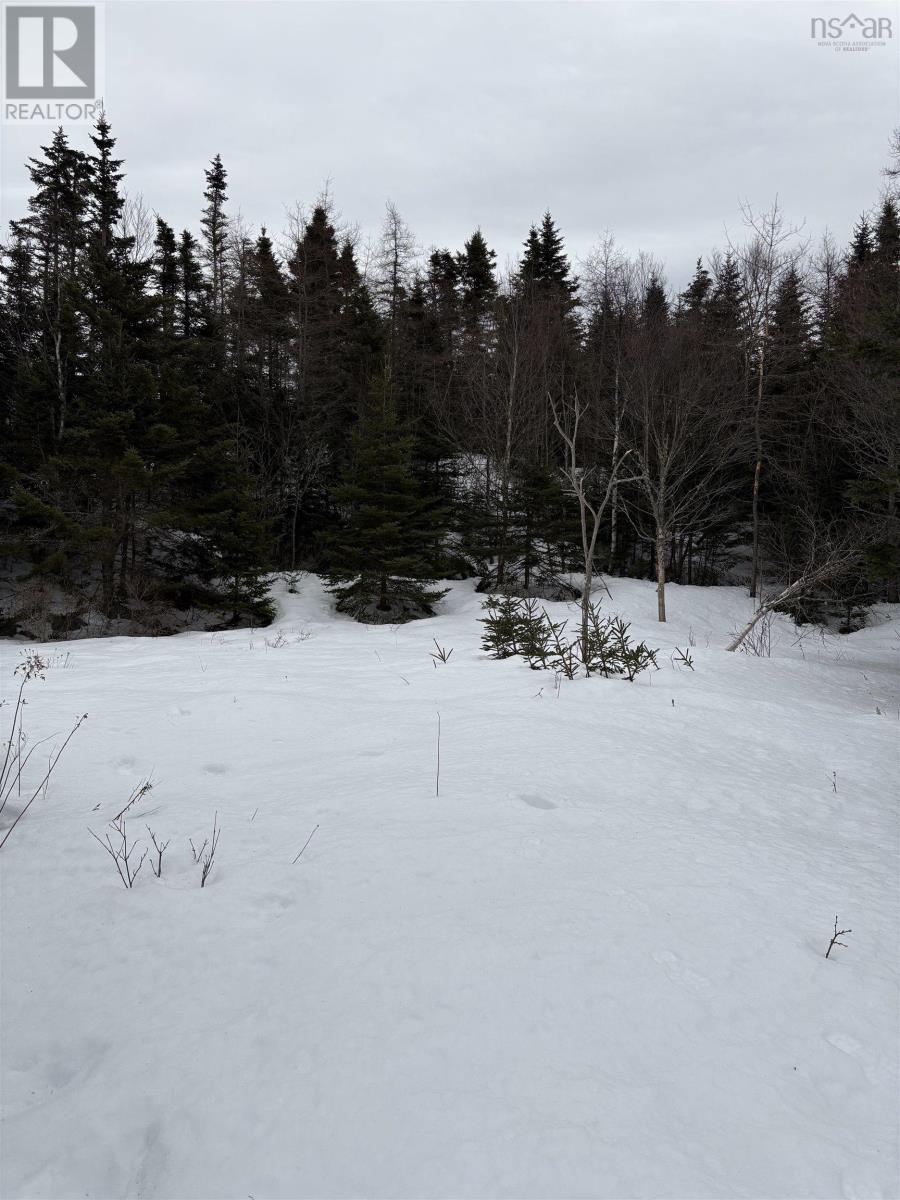 28 Cross Road, Ostrea Lake, Nova Scotia  B0J 2L0 - Photo 6 - 202604614