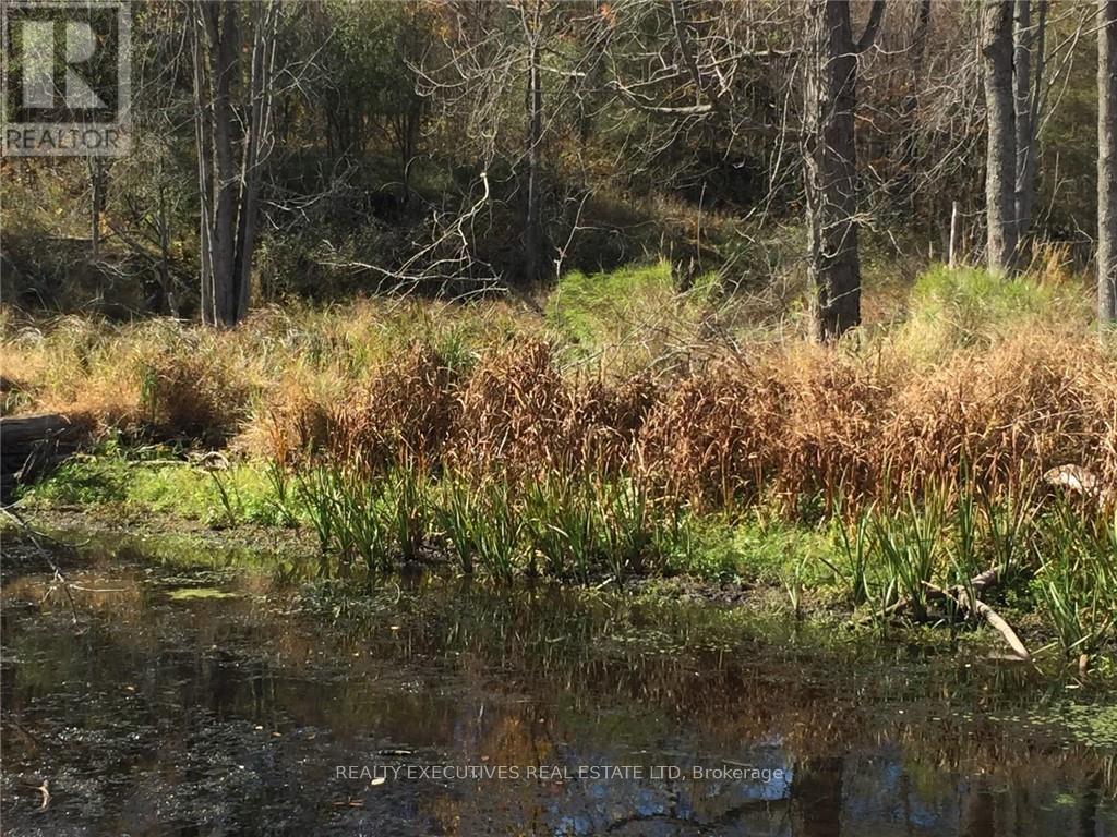 2707 Narrows Lock Road, Tay Valley, Ontario  K7H 3C5 - Photo 22 - X12648688