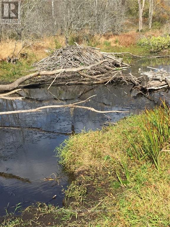 2707 Narrows Lock Road, Tay Valley, Ontario  K7H 3C5 - Photo 20 - X12648688