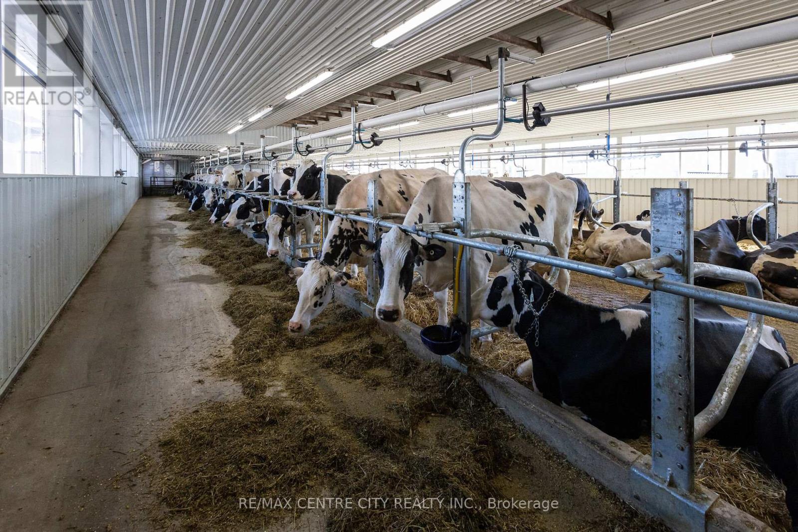 310135 Kemble Rock Road, Georgian Bluffs, Ontario  N0H 1S0 - Photo 11 - X12890180