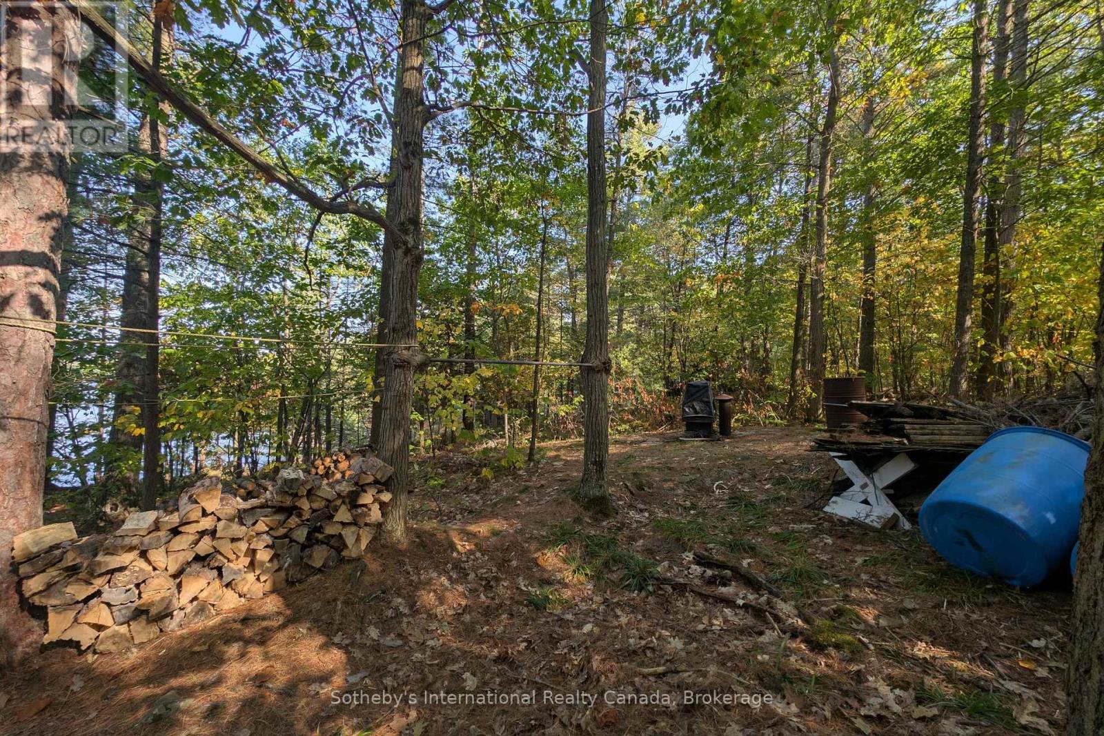 7128 Go Home Lake Shr, Georgian Bay, Ontario  L0K 1S0 - Photo 20 - X12890210