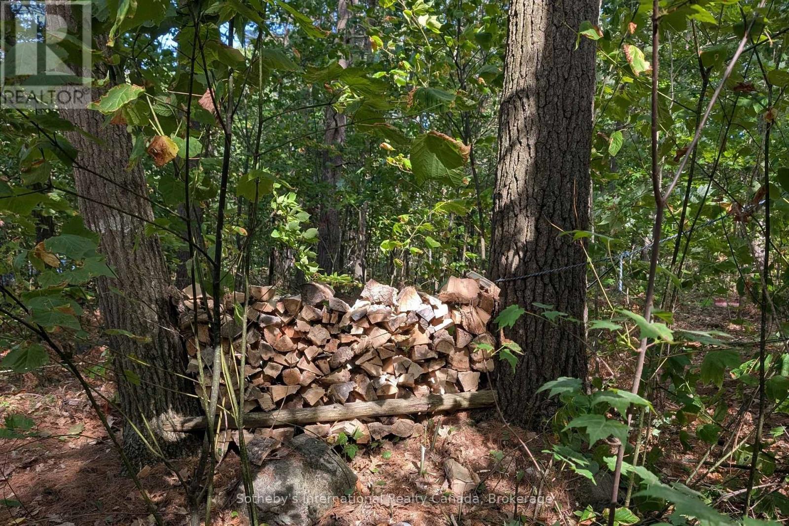 7128 Go Home Lake Shr, Georgian Bay, Ontario  L0K 1S0 - Photo 22 - X12890210