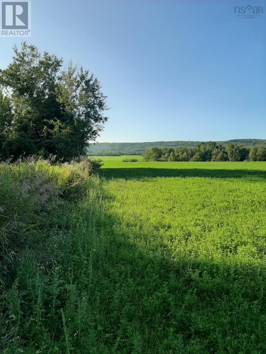 3199 Brooklyn Street, Weston, Nova Scotia  B0P 1R0 - Photo 50 - 202604728