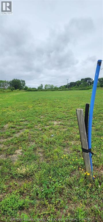 V/l Kamloops, Windsor, Ontario  N8W 5P2 - Photo 4 - 26005488