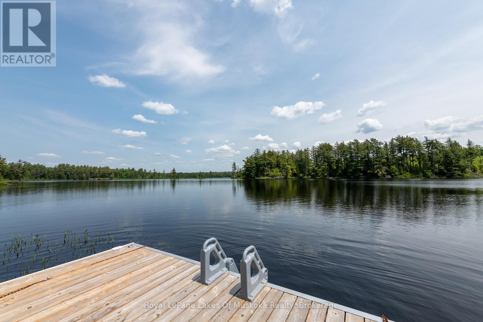 1420 Limberlost Road, Lake Of Bays (Sinclair), Ontario  P1H 2J6 - Photo 3 - X12890232